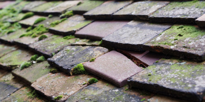 Radwinter roof repair costs